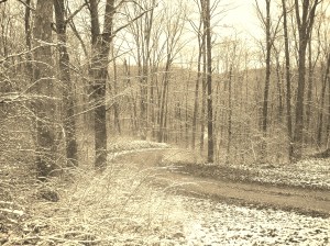 snow road