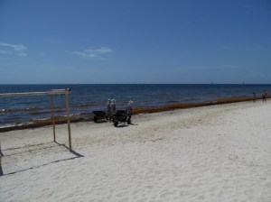SAM_0726