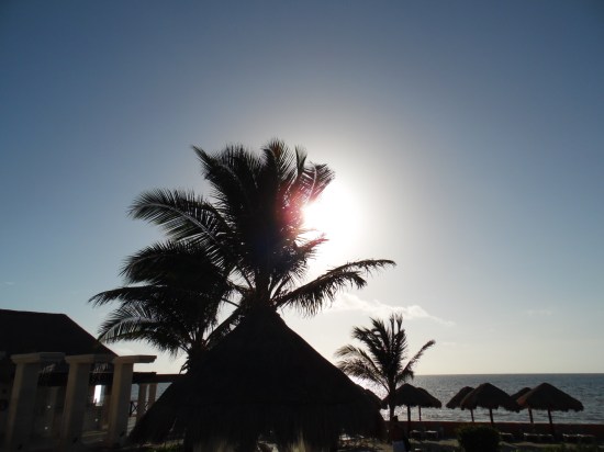 SAM_0744